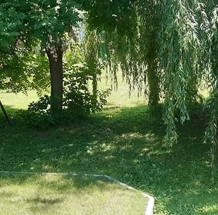 Fuzfa Apartmanhaz Tamási Exteriér fotografie